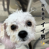 画像661