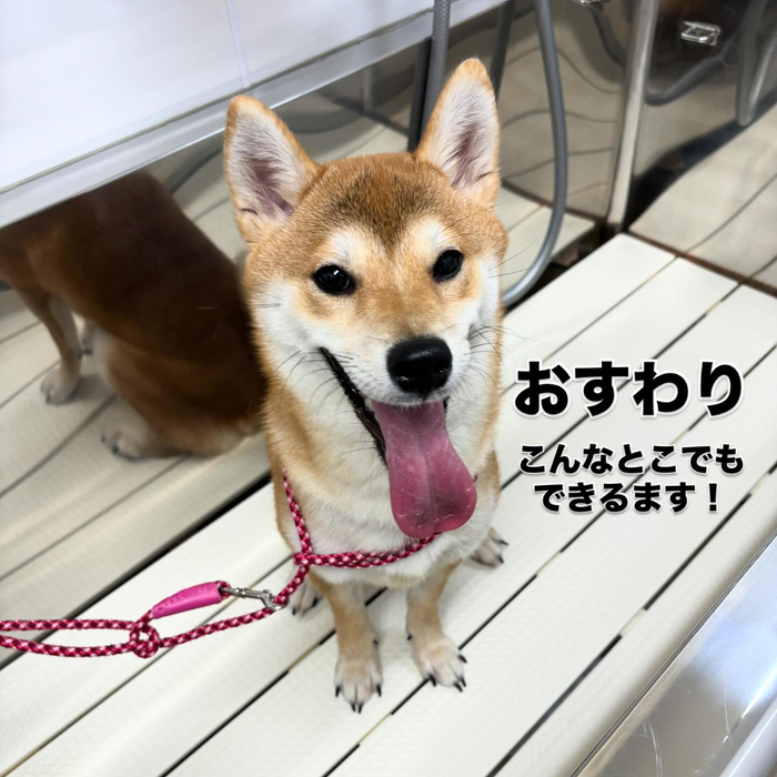 画像672