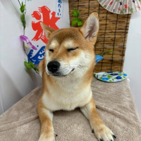 画像678