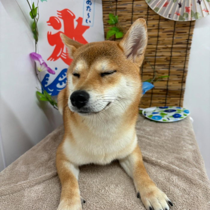 画像678