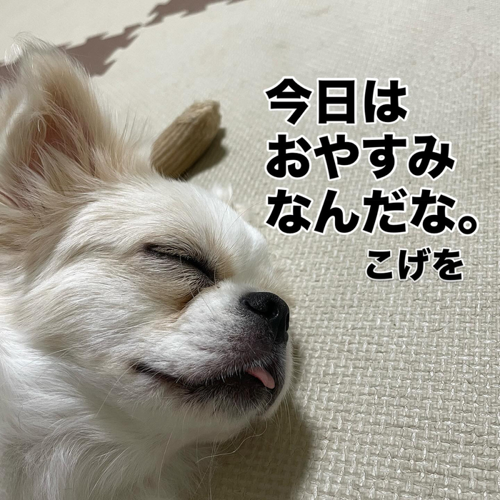 画像681