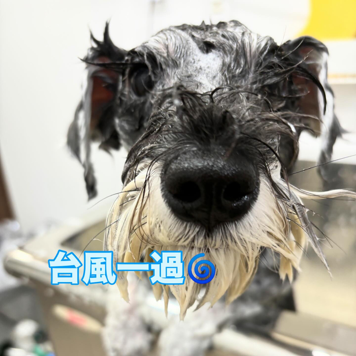 画像683