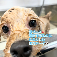 画像691