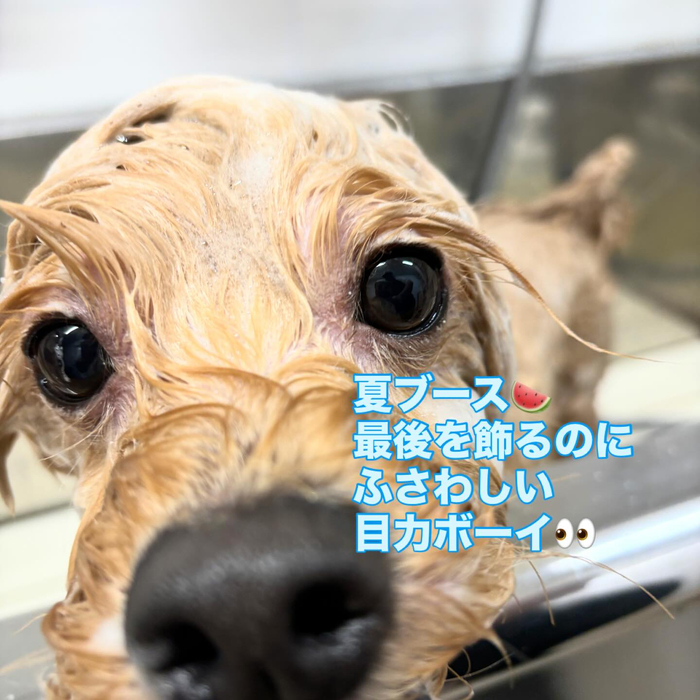 画像691