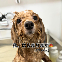 画像699