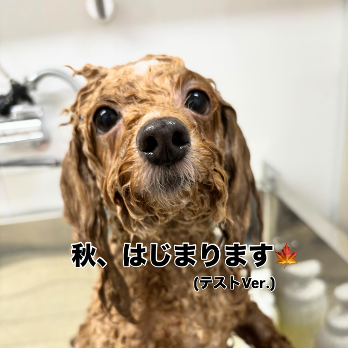 画像699