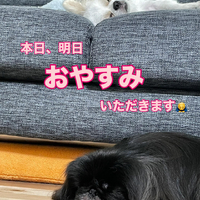画像706