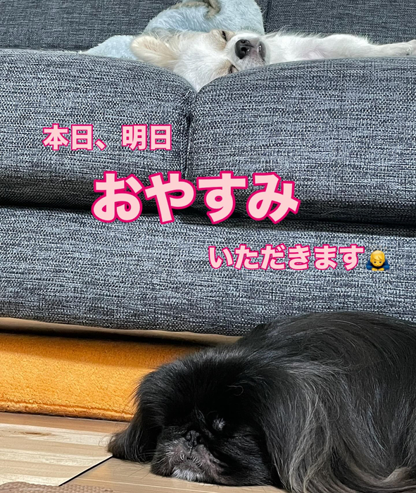 画像706
