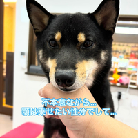 画像711
