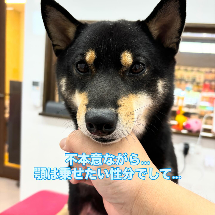 画像711
