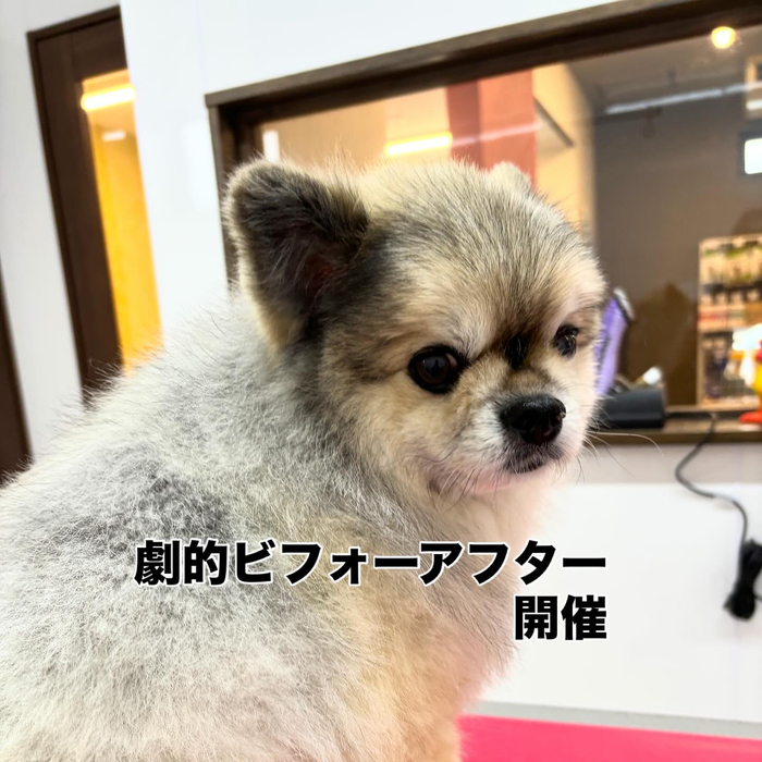 画像719