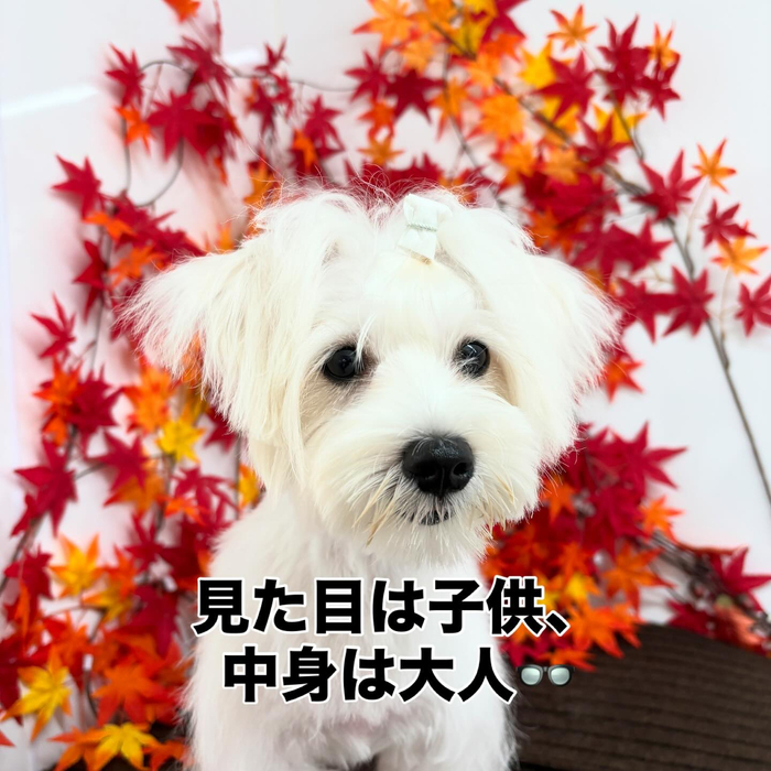 画像757