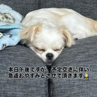 画像764