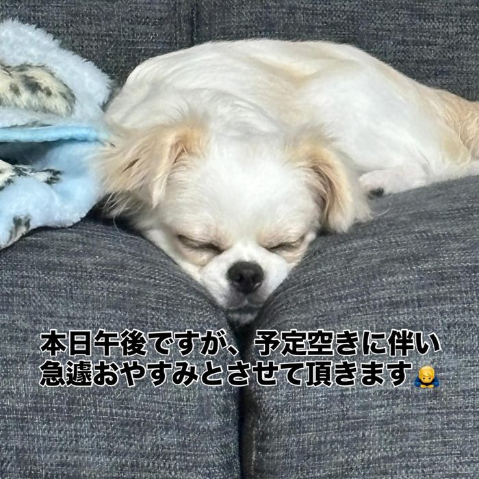 画像764