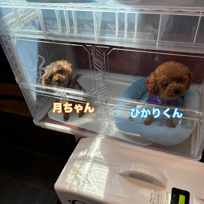画像774
