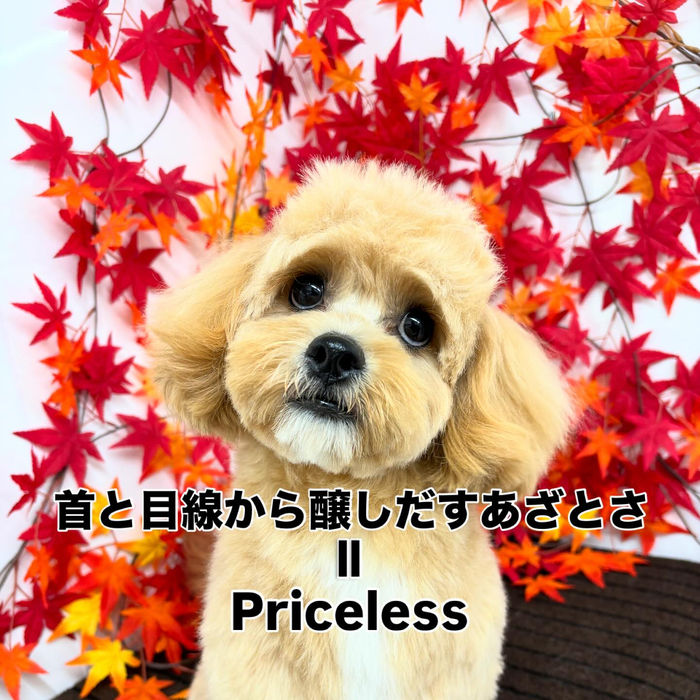 画像776
