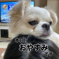 画像786