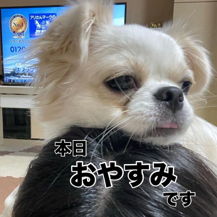 画像786