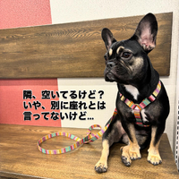 画像788