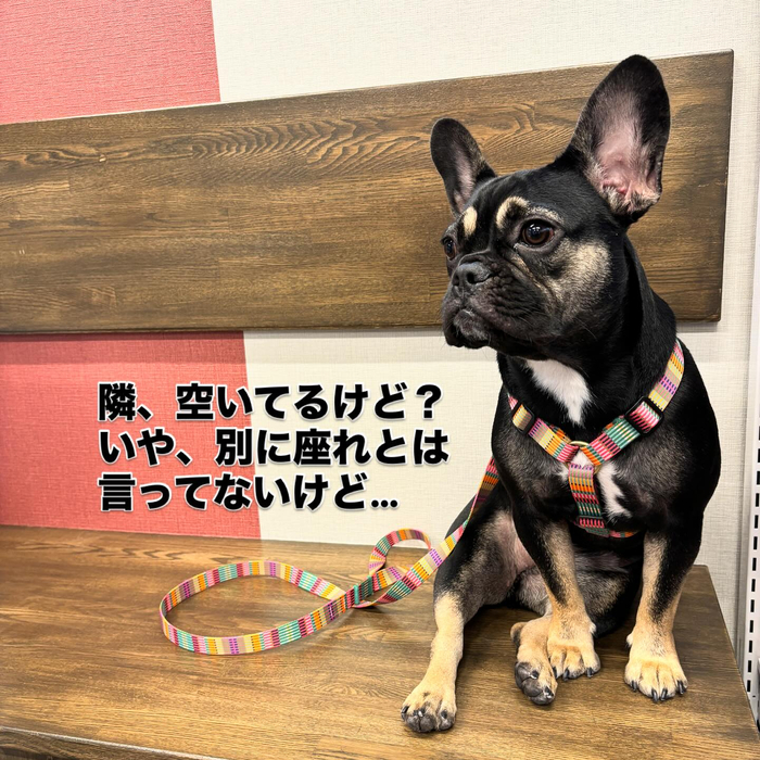 画像788