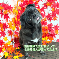 画像803