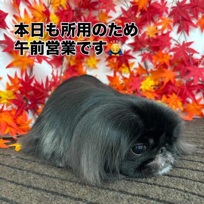 画像811