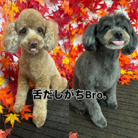 画像829