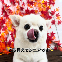 画像843