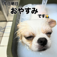 画像851