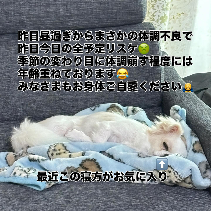 画像853