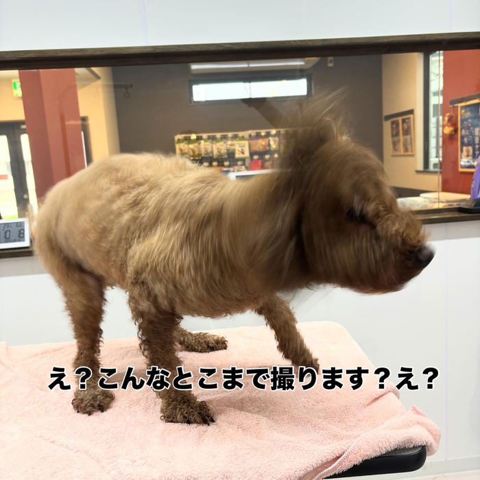 画像855