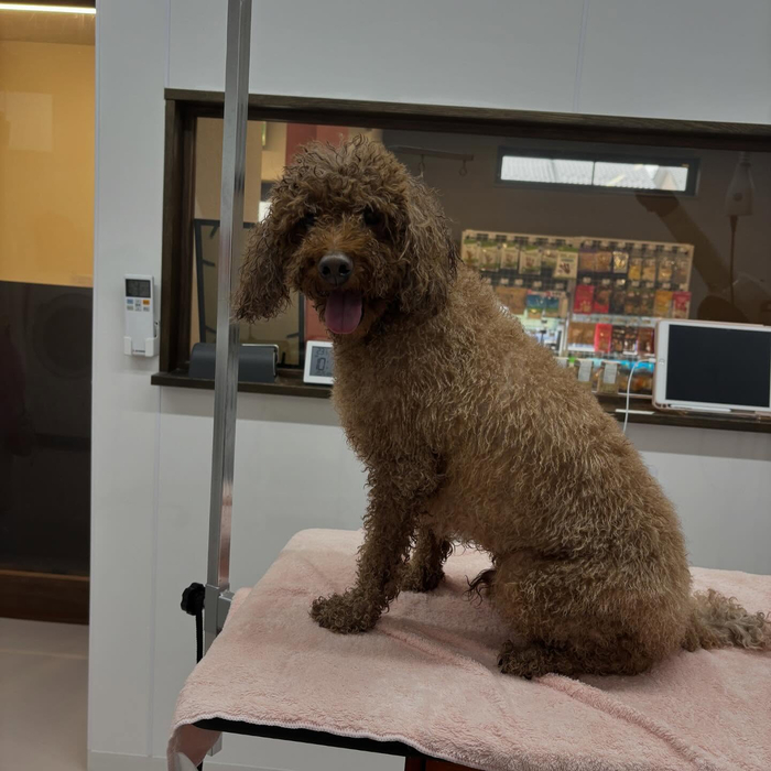 画像858