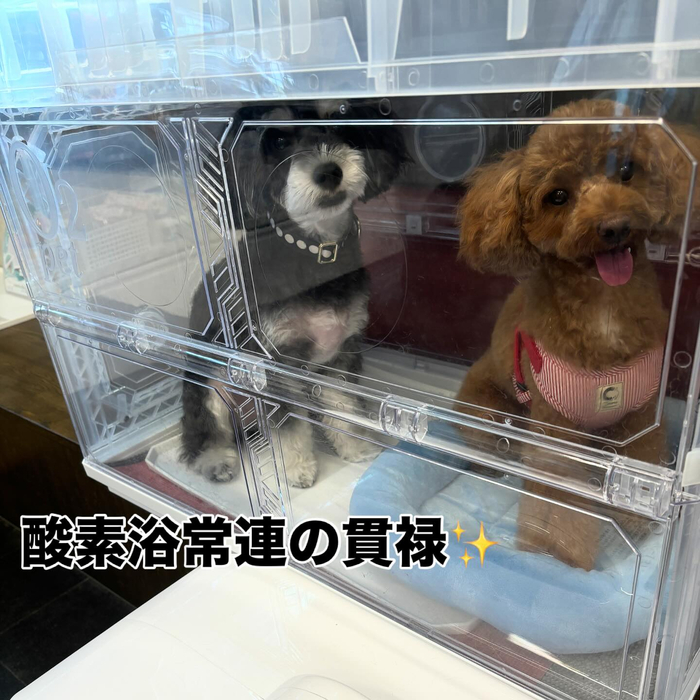 画像880