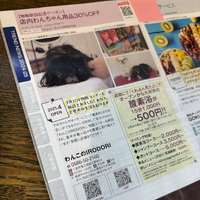 画像891