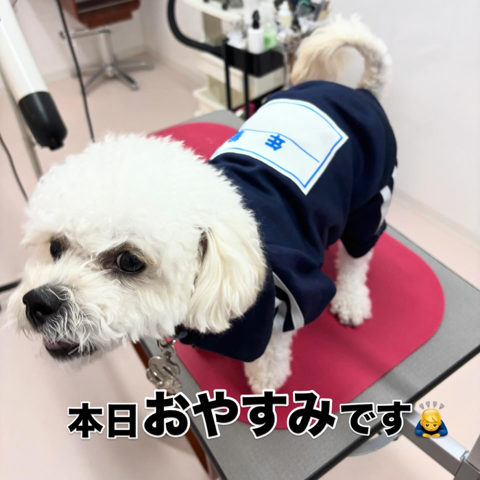 画像901