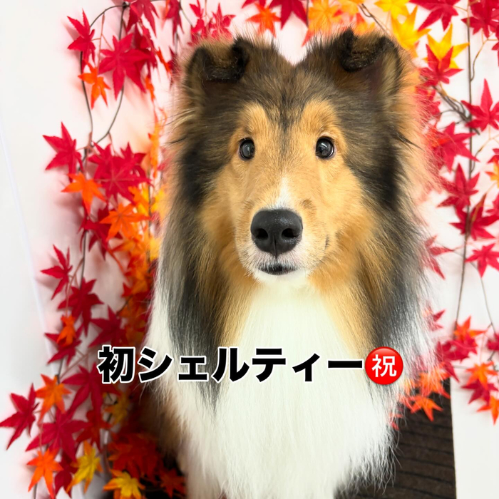 画像920