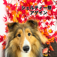 画像937