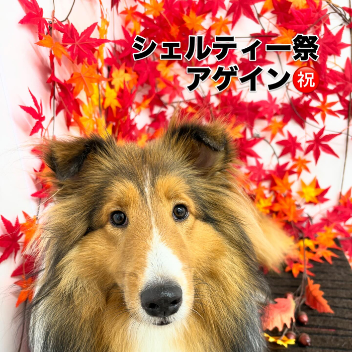 画像937