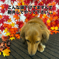 画像944