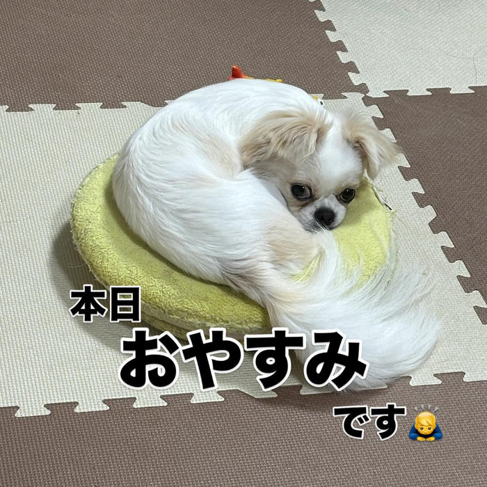 画像946