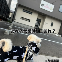画像988