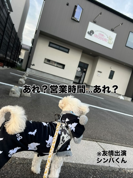 画像988