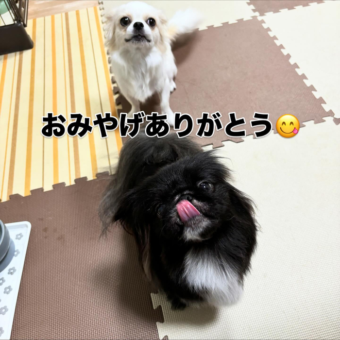 画像996