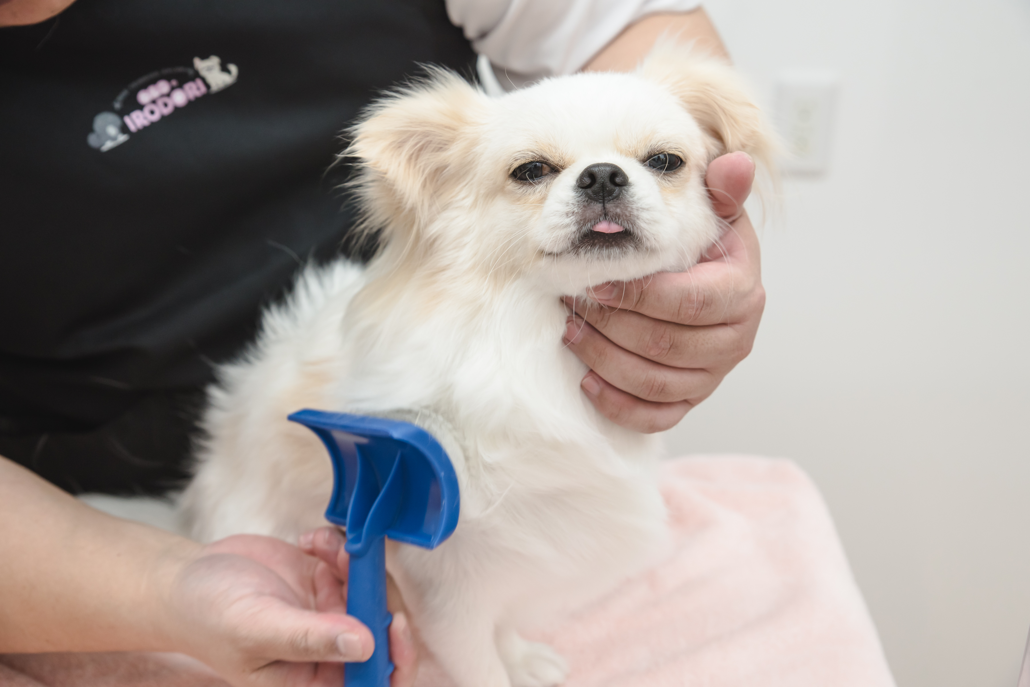 ワンちゃんがリラックスできるよう環境に配慮して心地良いサービスを提供